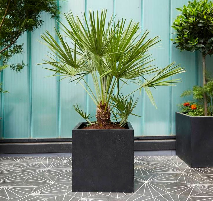 Snowfall Serenity - Image 2